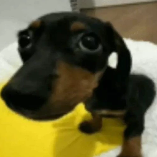 Nik