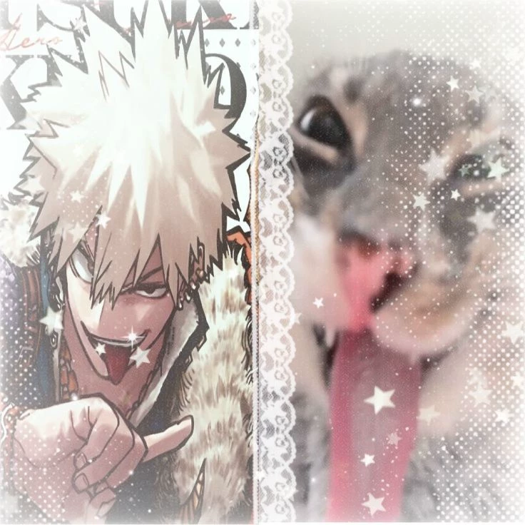 Claramente a mulher do Katsuki 