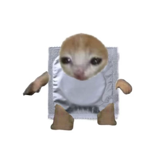 Waf.