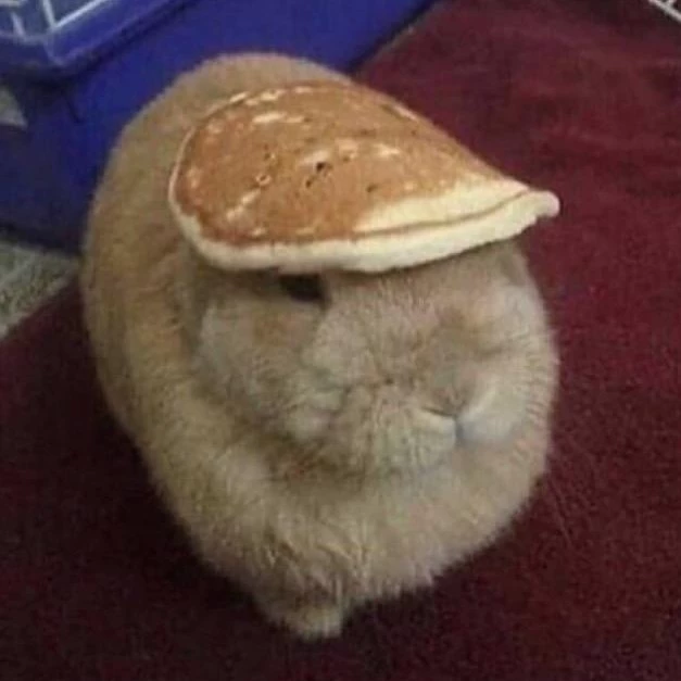 Pancake Bunny