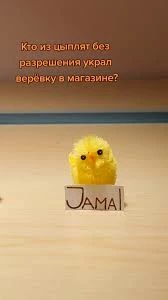 A chick named Jamal thumbnail