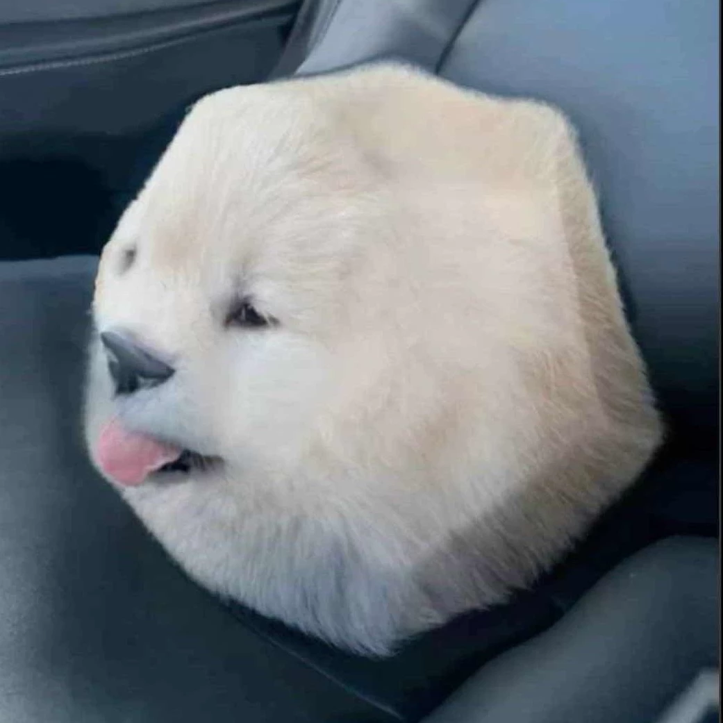 Dodecahedron Dog