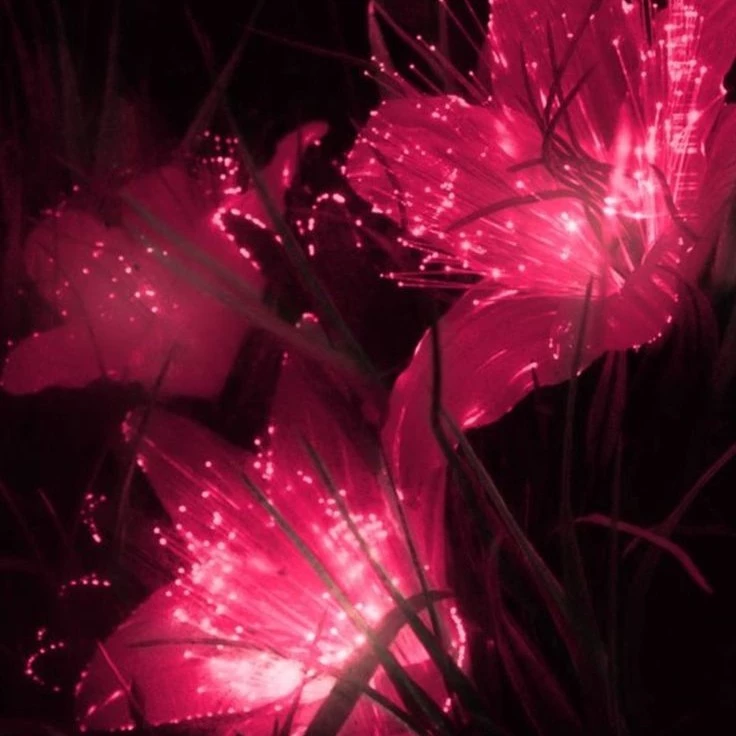 𝓴𝓲𝓻𝓪