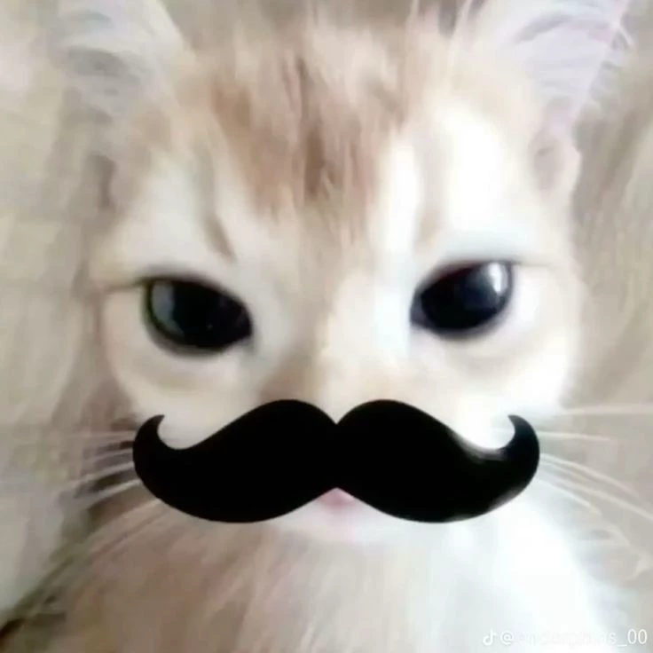 noa