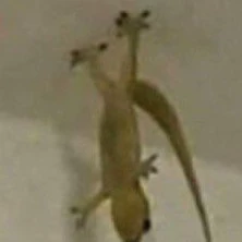 :)
