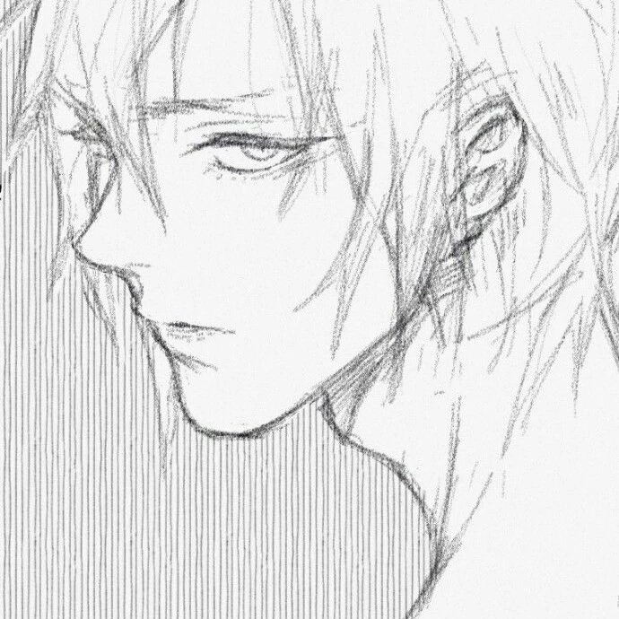 Shin 
