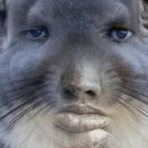 SkebobvsEgor