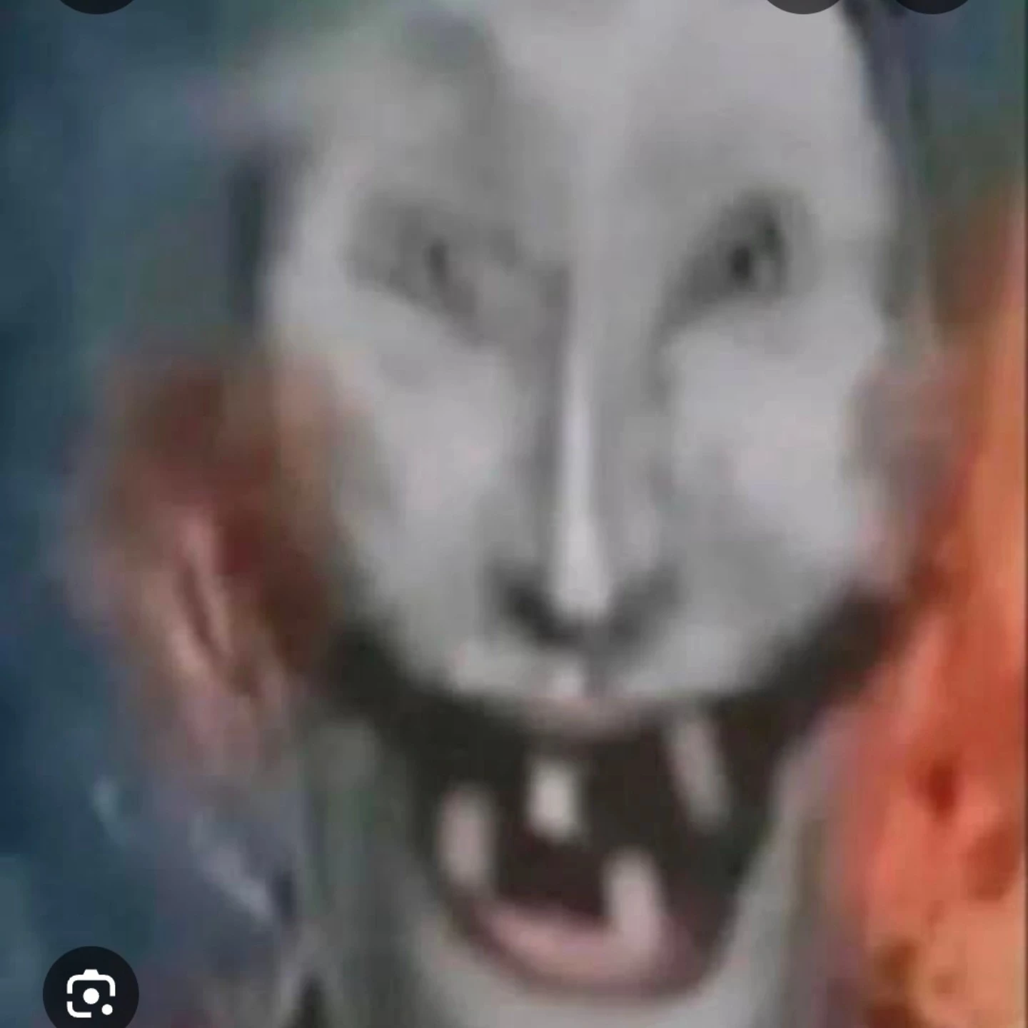 Toto Kakası