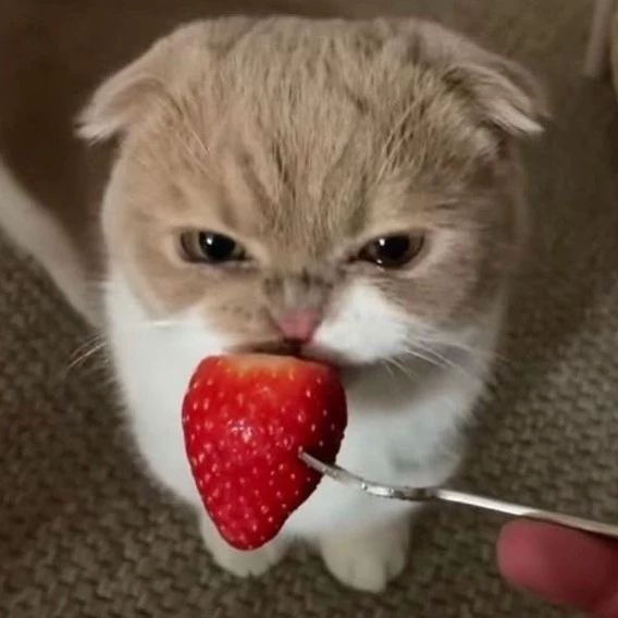 рен