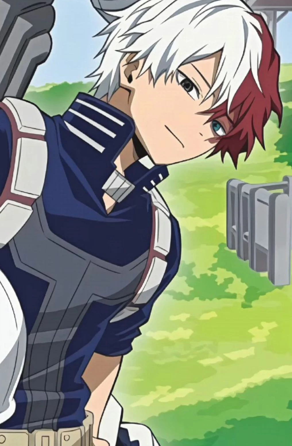 Shoto Todoroki thumbnail