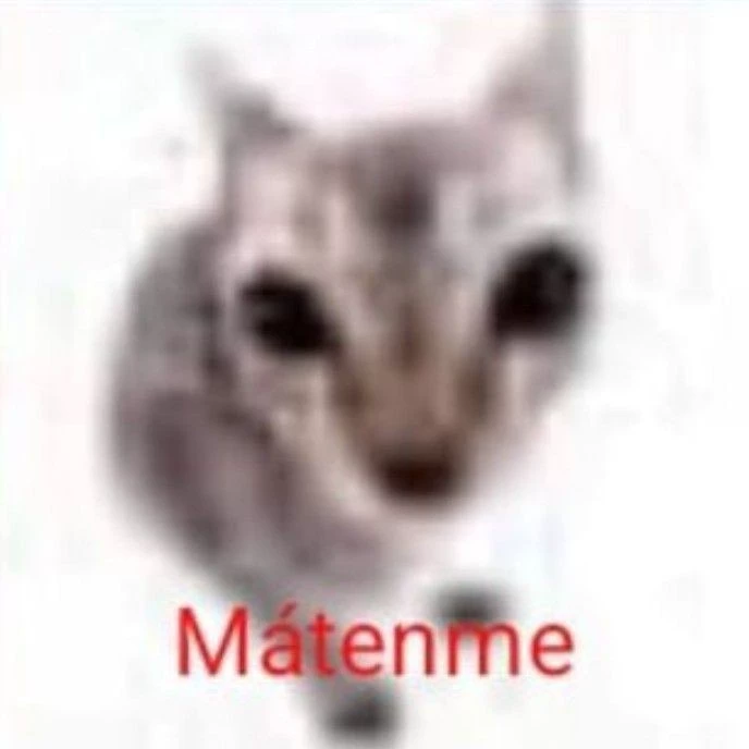 GATO114