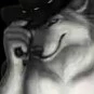 Nightmare