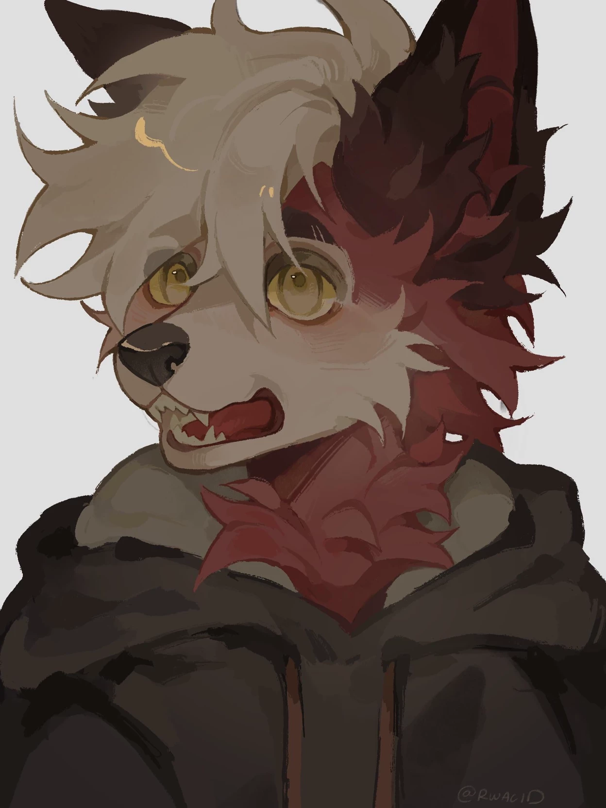 Milo Vulpi - Clumsy, wholesome Foxboy (Furry) thumbnail