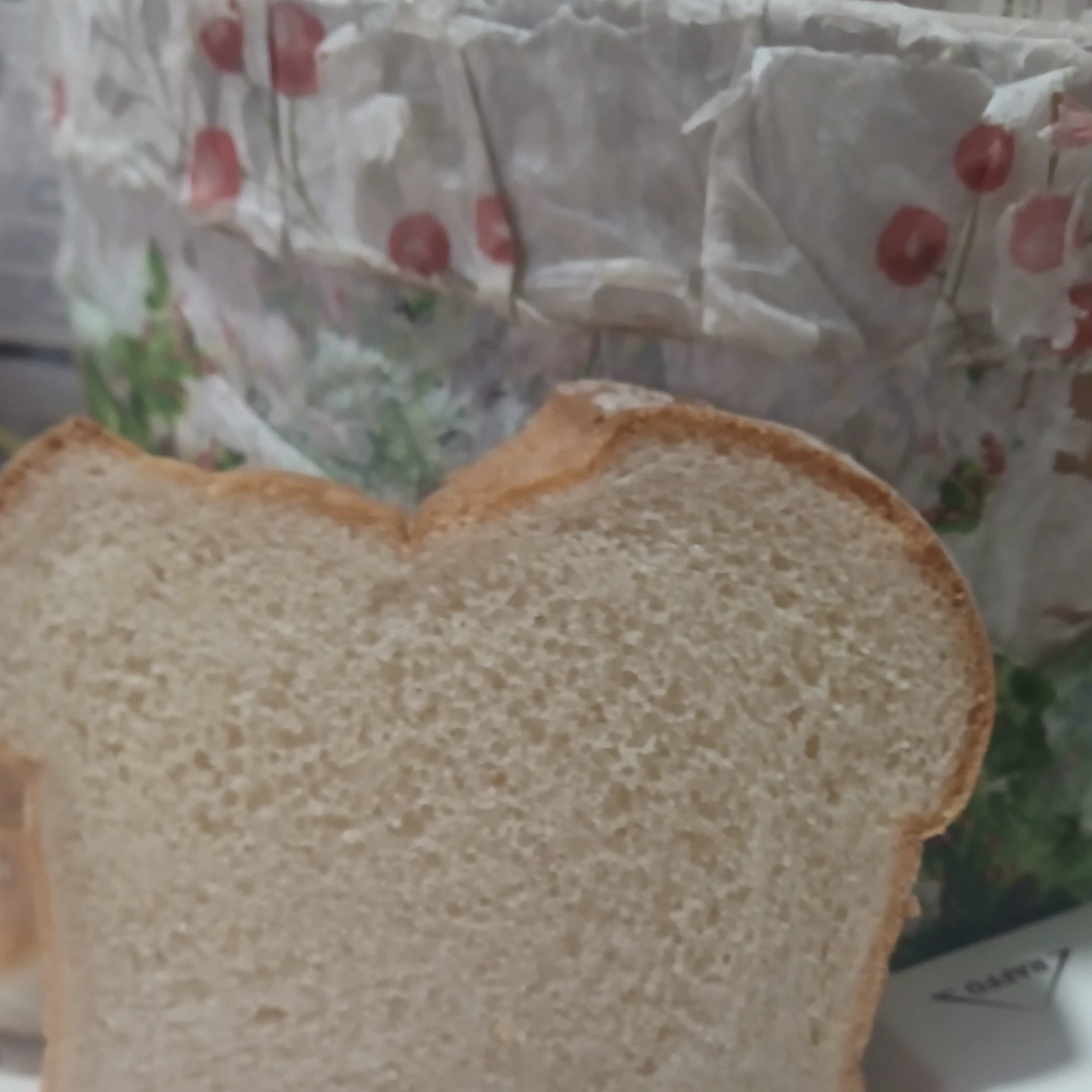 piece of bread