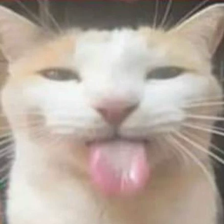 Hako