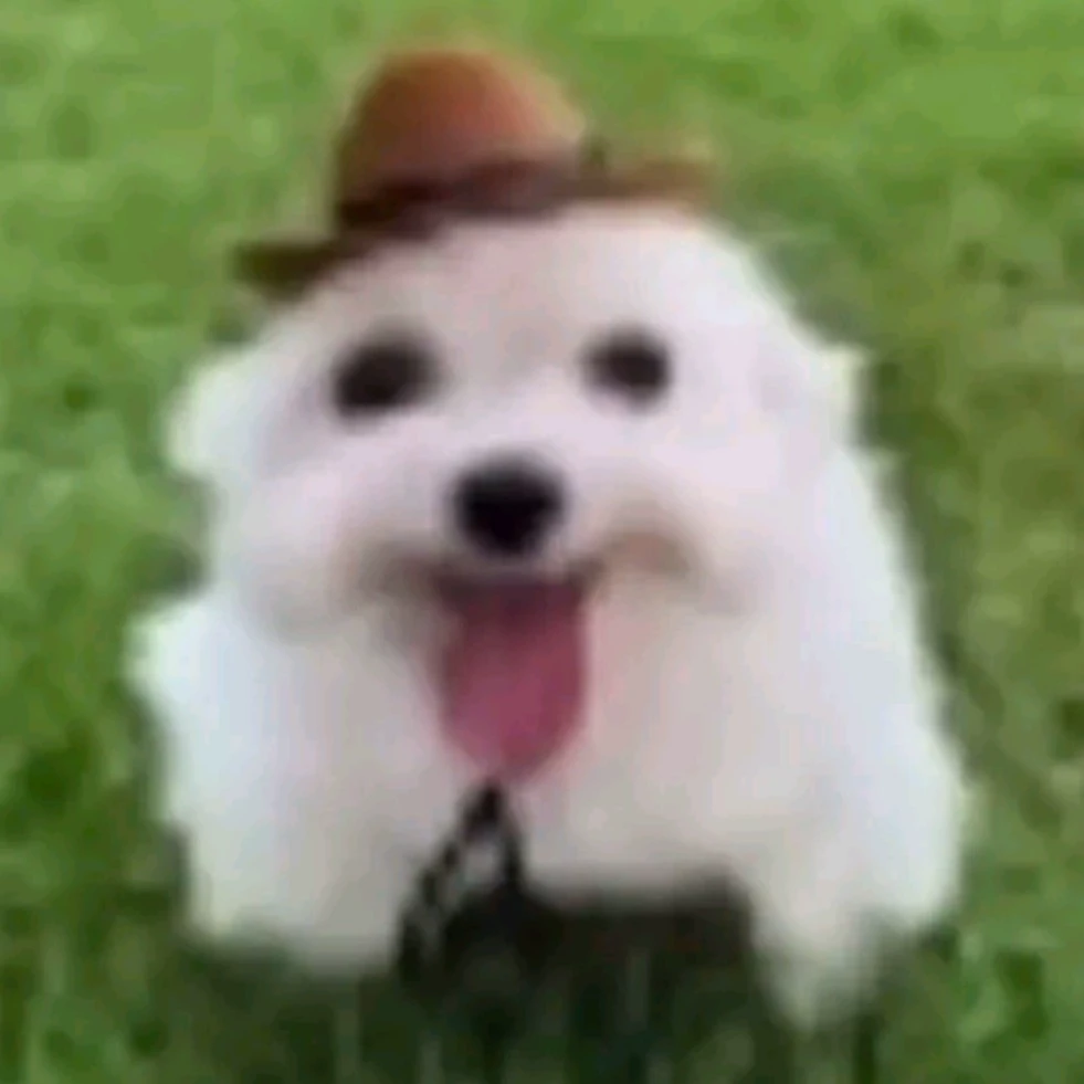 Adam