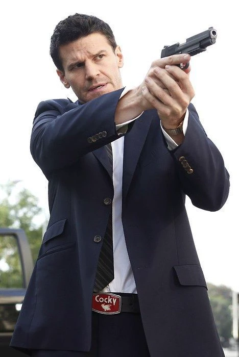 Agent Seeley Booth  thumbnail