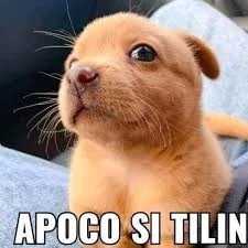 Ignacio 