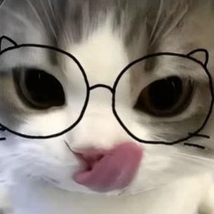 Lee sami