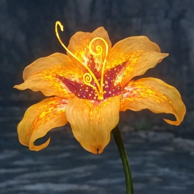 leona