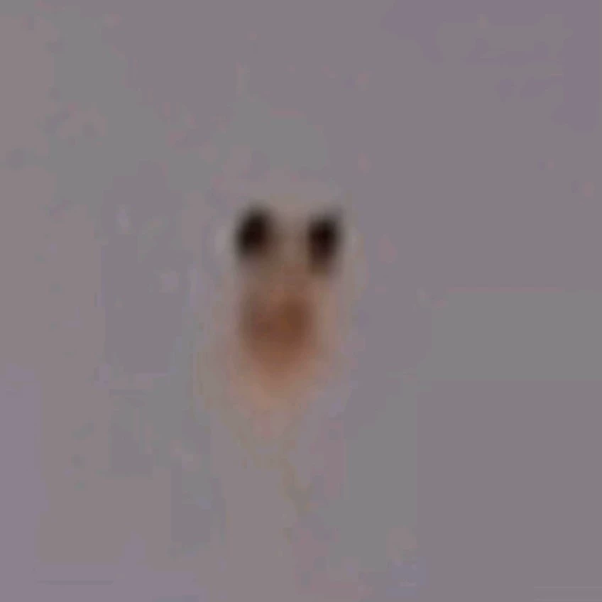 Tsuki