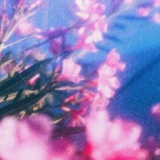 Sparkofglitter 