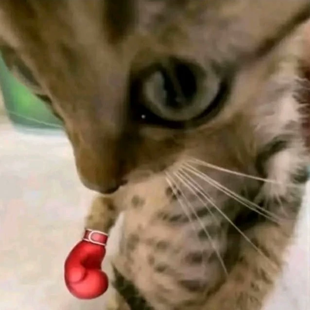 .•♫•♬• 𝒍𝒊𝒍𝒚 •♬•♫•.