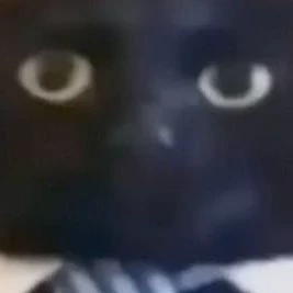 Gi