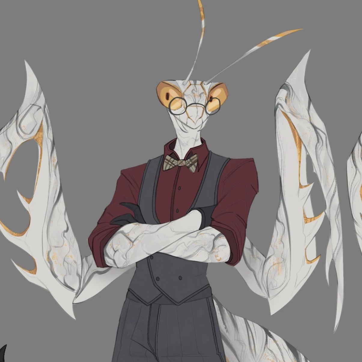 Porcelainmantis_