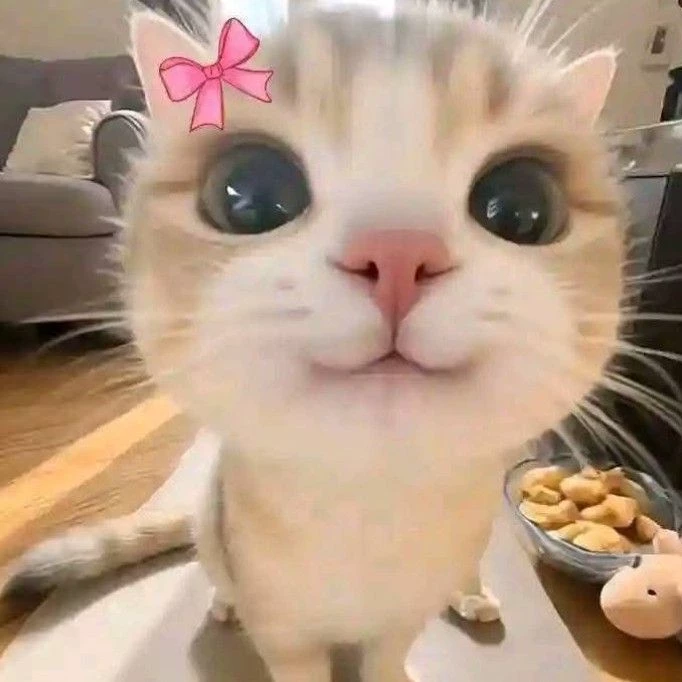 meyy 