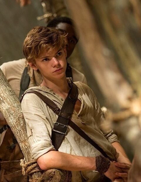 Newt thumbnail
