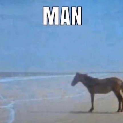 Fin
