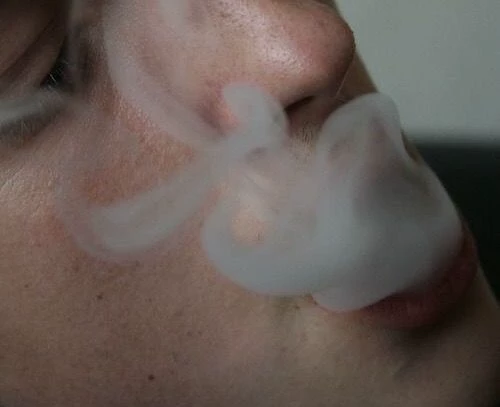 SHANE HOLLAND thumbnail