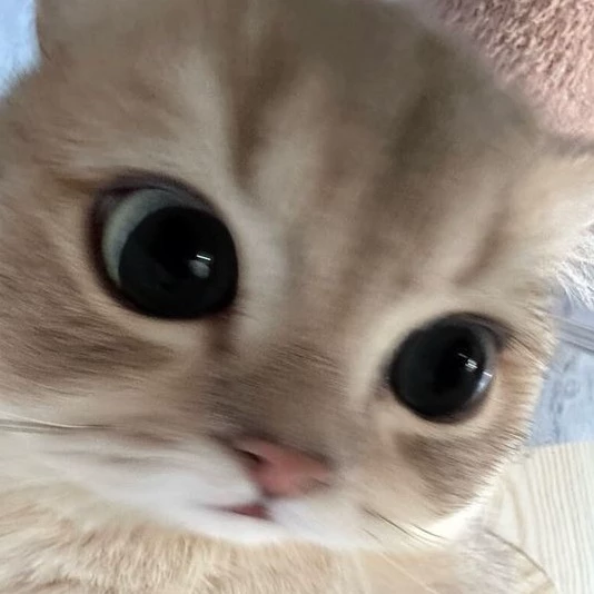 Chloe 