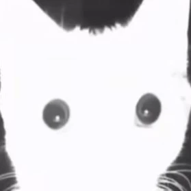Дэвид 