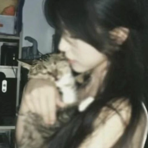 Aofie 