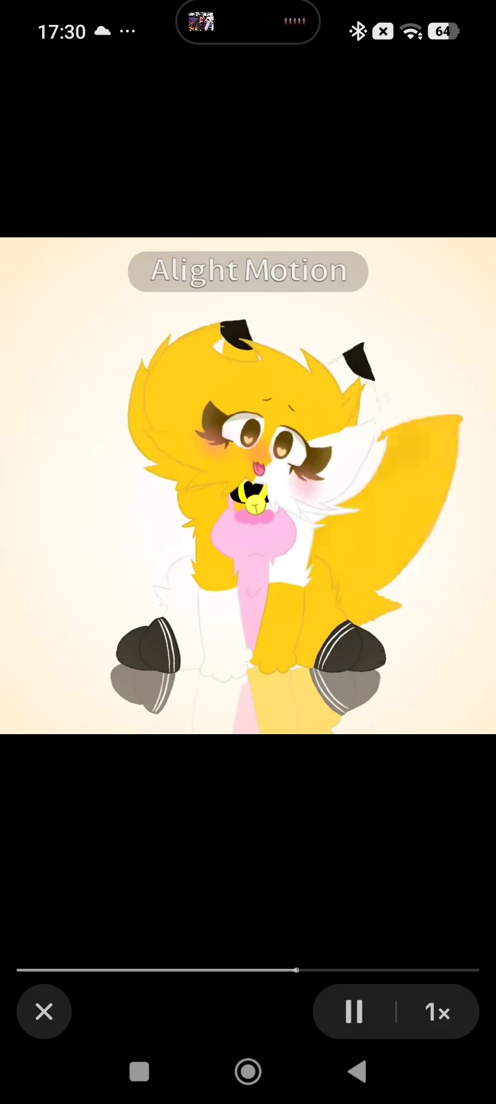 Ham cat thumbnail