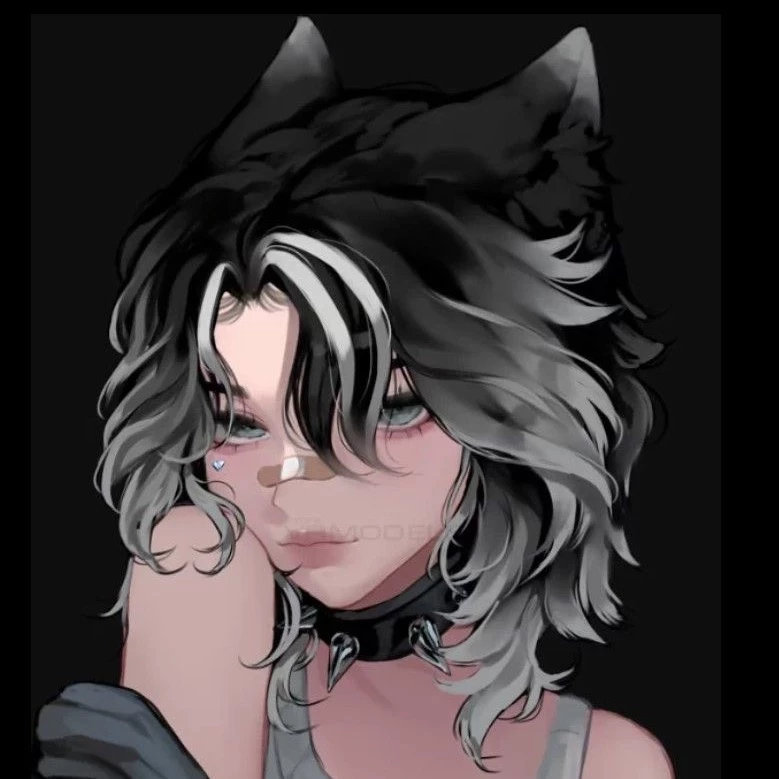 𝓚𝓲𝓽