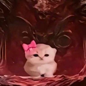 shiro