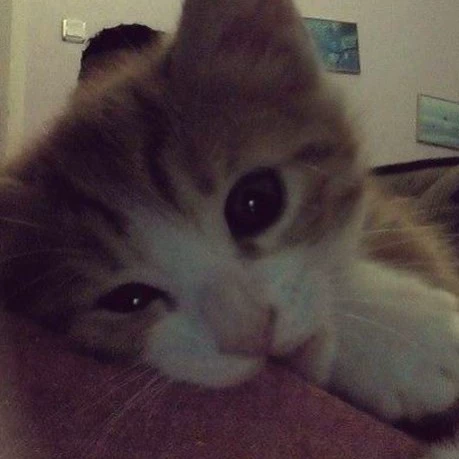 Khiara^^