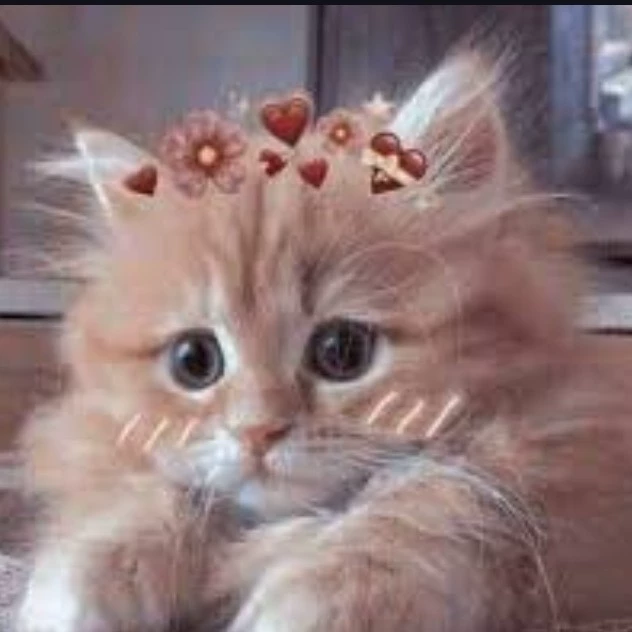 سلمى 