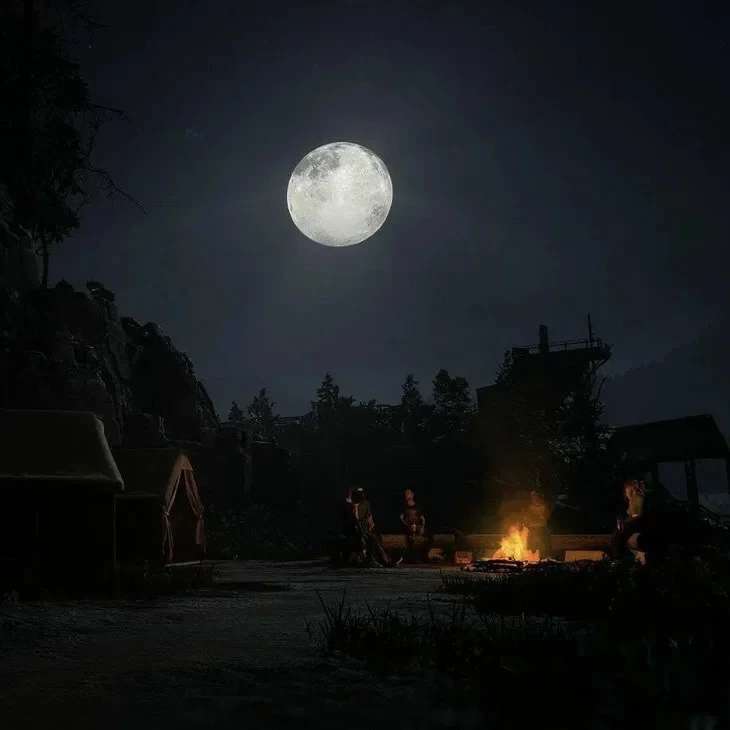 🐺 ༉ ₊˚ . The Quarry thumbnail