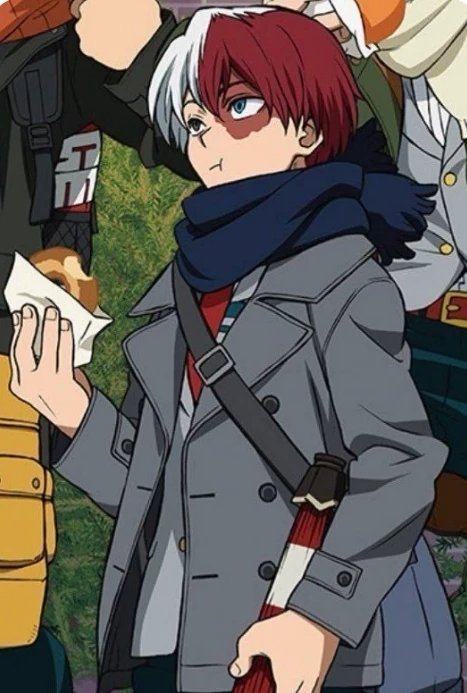  Shoto Todoroki  thumbnail