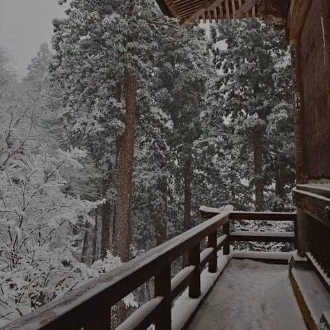 in a cabin in the middle of nowhere. thumbnail