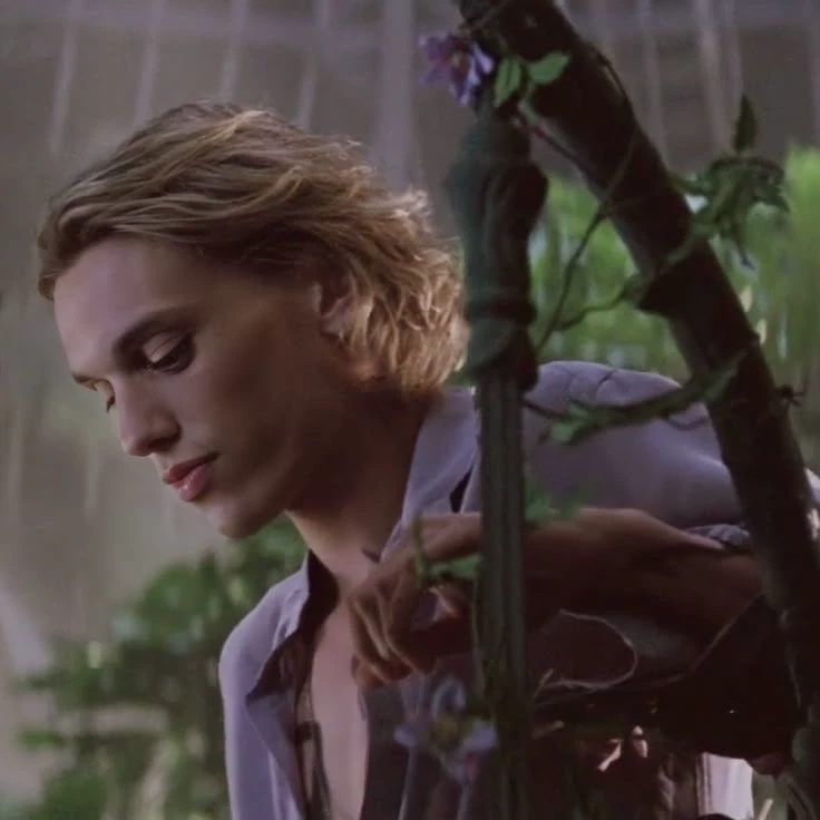 Jace Wayland  thumbnail