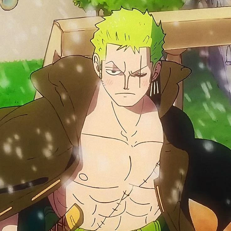 Tu esposo frío ,Zoro😁. thumbnail