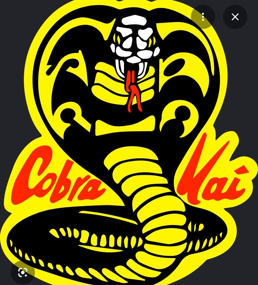 cobra kai thumbnail