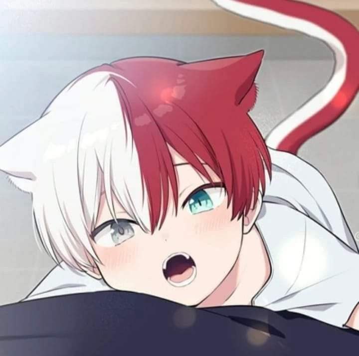 shoto thumbnail
