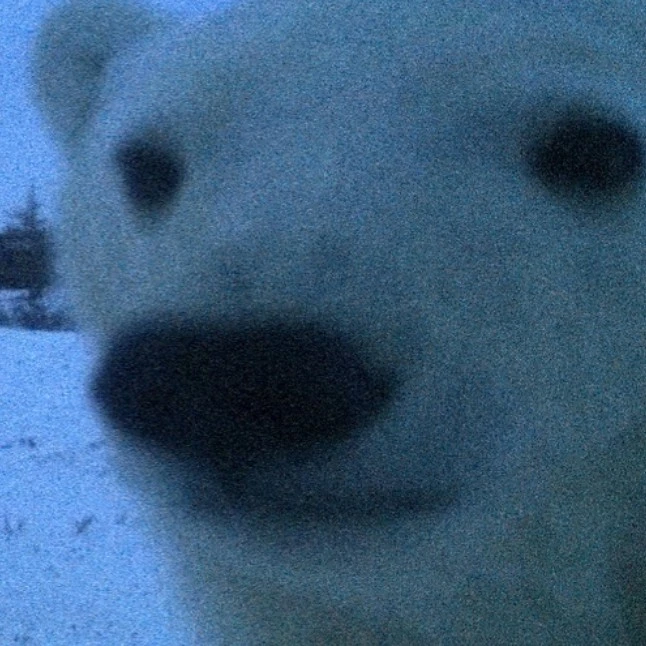 Felipe