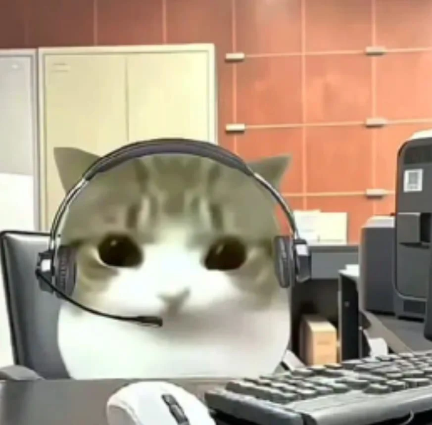 Cat thumbnail